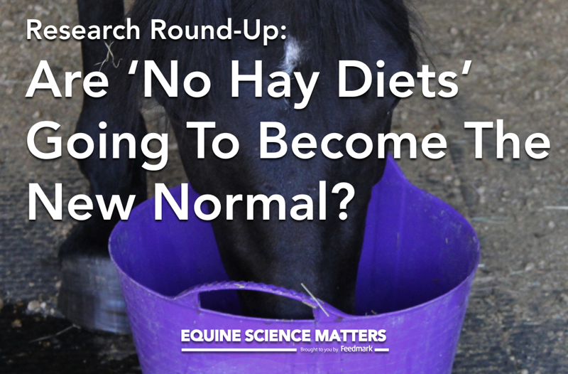 What is a complete extruded diet, and how might it affect our horses’ digestion?  | Equine Science Matters™